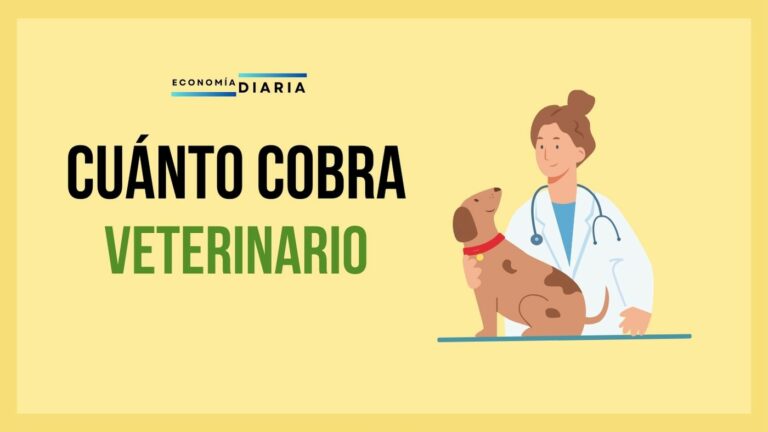 ¿Cuánto Gana un Veterinario en España?